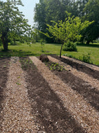 No-Dig køkkenhave Kit - 1500 L